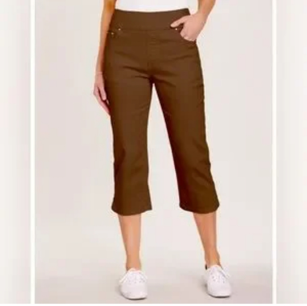 Dressbarn 18W Mocha Crop Dress Office Pants Q-1396